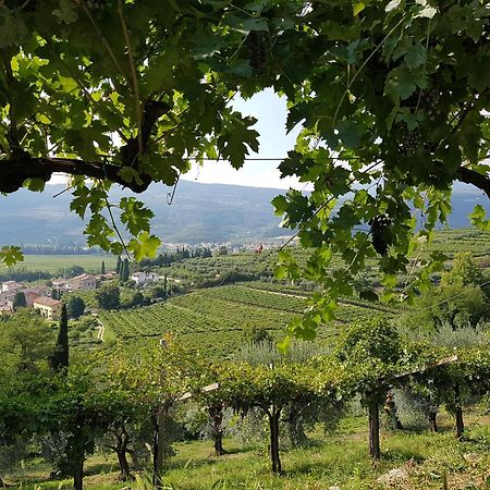 Agriturismo Valentina Cubi Fumane Eksteriør bilde