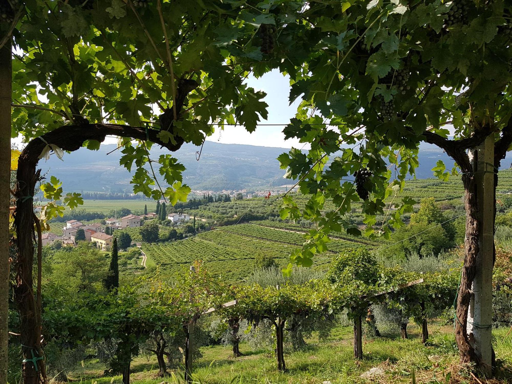 Agriturismo Valentina Cubi Fumane Eksteriør bilde