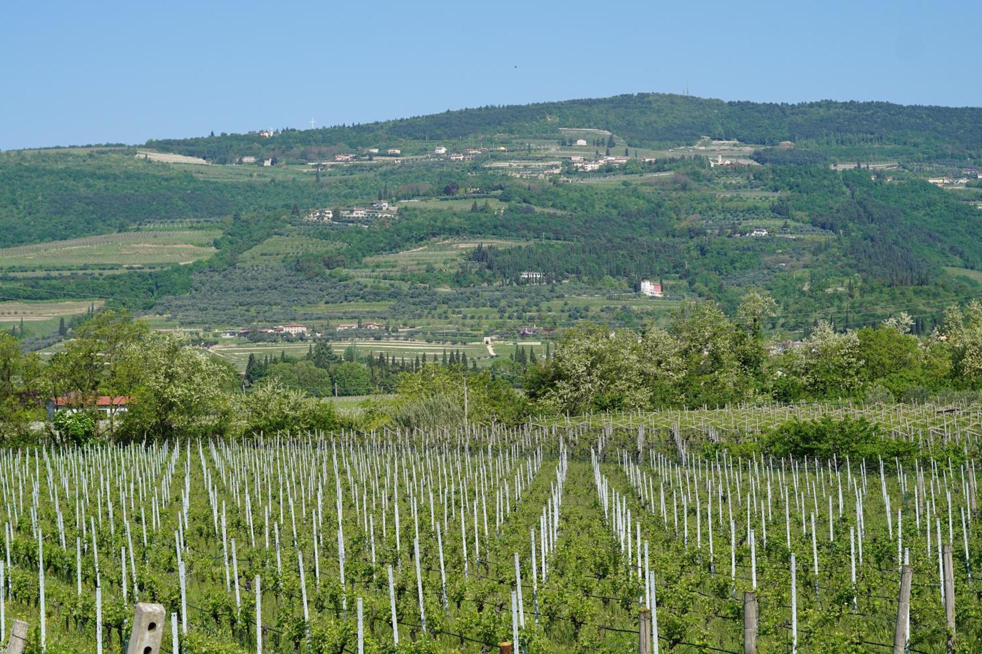 Agriturismo Valentina Cubi Fumane Eksteriør bilde